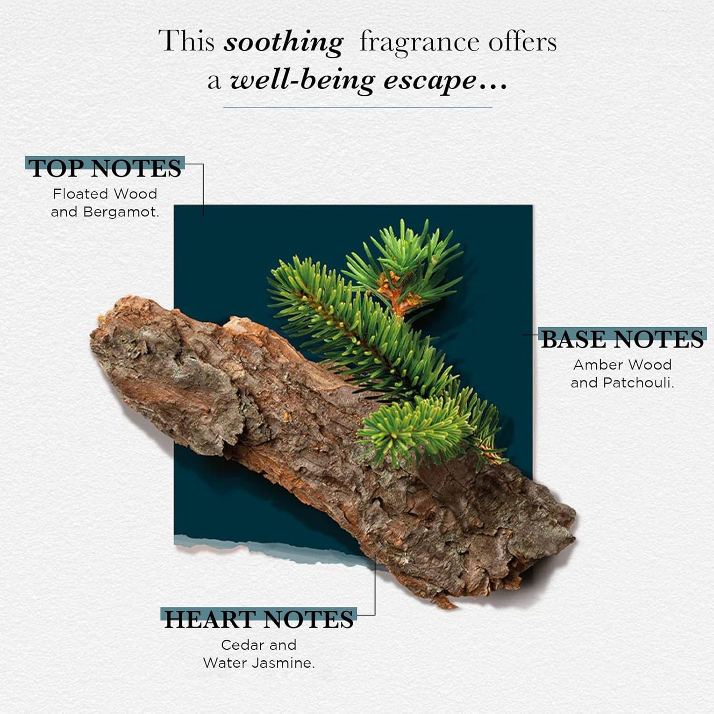 SOLINOTES Cedarwood Perfume for Men - Eau De Parfum | Refined Woody and Soothing Fragrance - Made in France - Vegan - 1.7 fl.oz