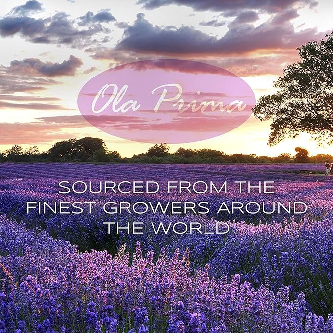 Ola Prima Oils Lavender Essential Oil (16oz Bulk) for Aromatherapy Diffuser, Candle Making & Stress – Therapeutic Grade Aromatherapy Oil