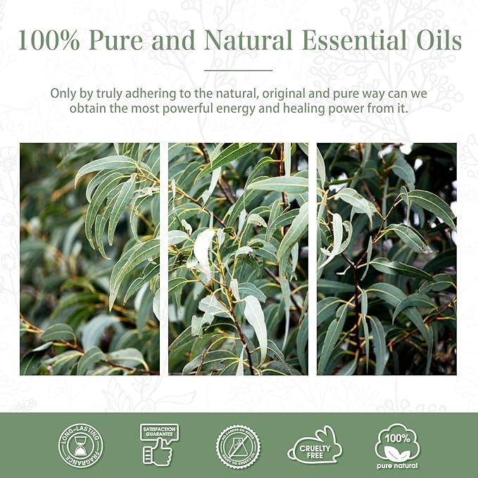 Eucalyptus Essential Oil 30ML, Pure Eucalyptus Essential Oils for Diffuser, Humidifier, Aromatherapy, Perfect for DIY Soap, Candle, Bath Bombs Making