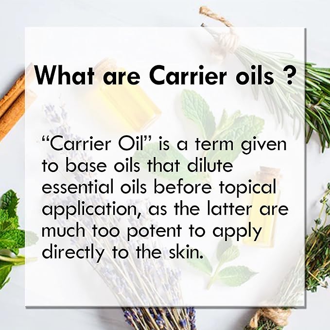 Pure Nirgundi Oil (Vitex negundo linn) 100% with Glass Dropper Premium Therapeutic Grade for Hair, Skin & Aromatherapy (Pack of Three) 100ml X 3 (10.1oz)