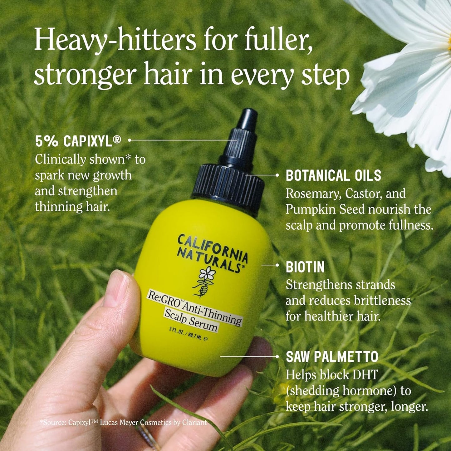 California Naturals Women's Re: Gro Anti-Thinning Scalp Serum, 5% Capixyl with Biotin, Caffeine & Castor and Rosemary Oil, Non-Sticky Cooling Formula, Vegan & Cruelty Free, 3oz