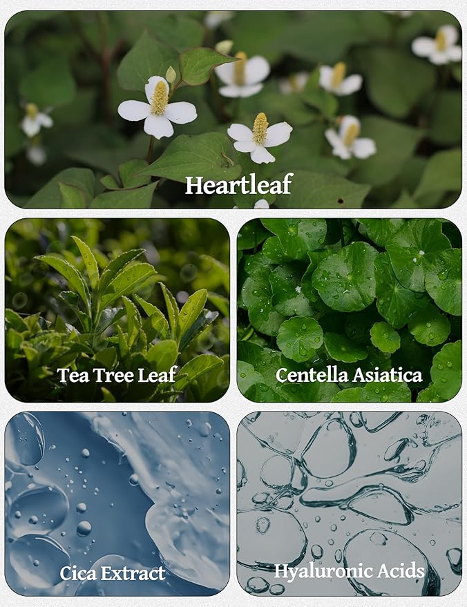 Tea Tree Derma Balancing Face Lotion | Daily Moisturizing Lotion Face Cream | Hydrating Face Moisturizer w/Cica & Hyaluronic Acid | Tea Tree Lotion for Extremely Dry Skin 1.79 fl oz