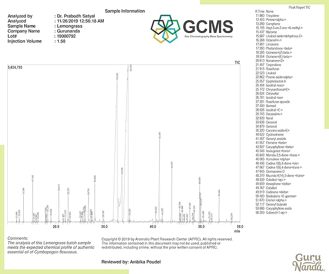 GuruNanda Lemongrass Essential Oil (Pack of 2 x 0.5 Fl Oz) - 100% Pure, Premium Therapeutic Grade Oil for Cleansing and Rejuvenation, Aromatherapy for Hair and Face Care, Fresh Citrus Scent