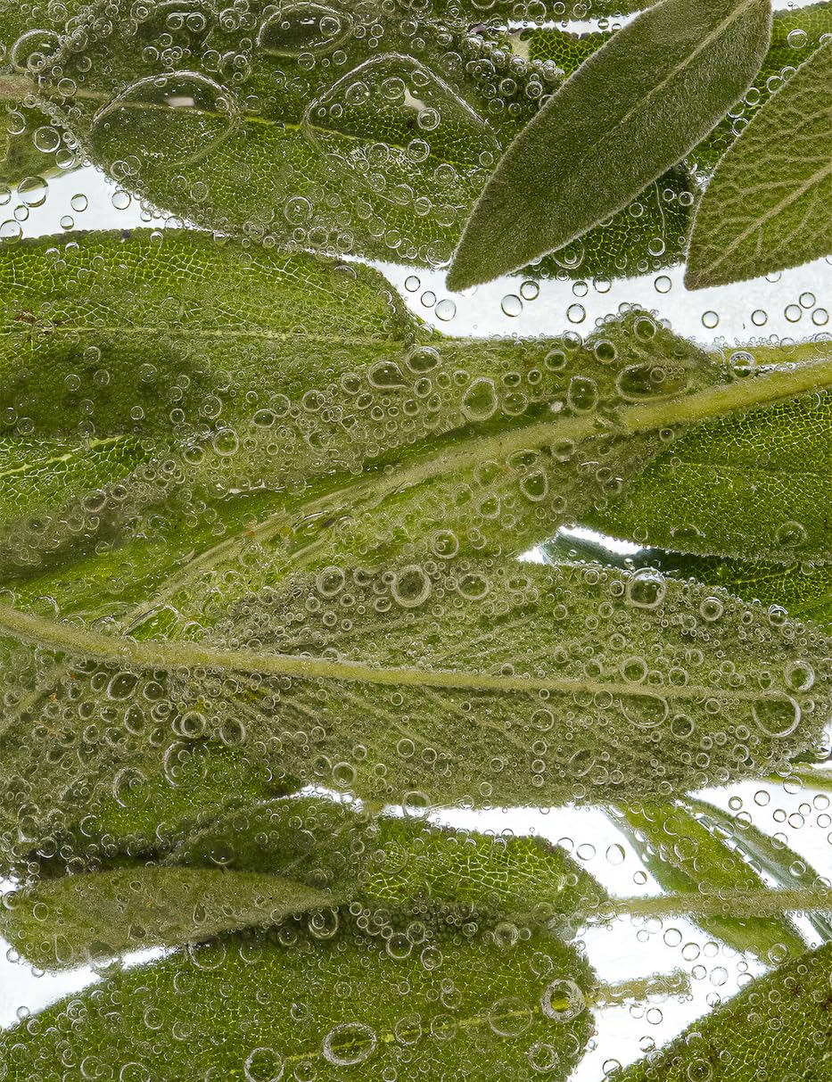 ESAS NYC Sea Salt & Sage – Organic Perfume Mist, MADESAFE® – GREEN | FRESH | SALTY – 0.33 oz Fragrance EDP