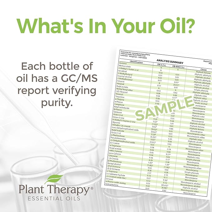 Plant Therapy KidSafe Essentials Roll-On Set 100% Pure, Therapeutic Grade Essential Oils Diluted in Coconut Oil 10 mL (1/3 oz) Each