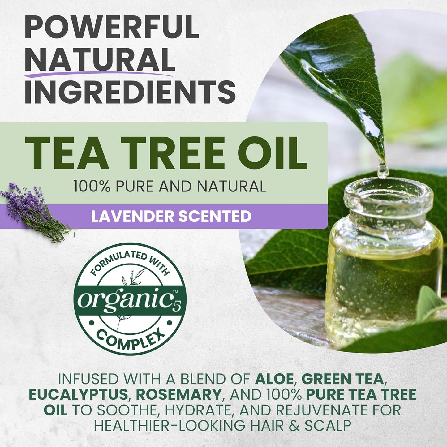 Pure Tea Tree Oil Hair Mask & Scalp Treatment, Deep Conditioner for Damaged & Dry Hair, Hydrates & Soothes Itchy, Scalp Psoriasis Relief, Men & Women, Paraben & Sulfates Free