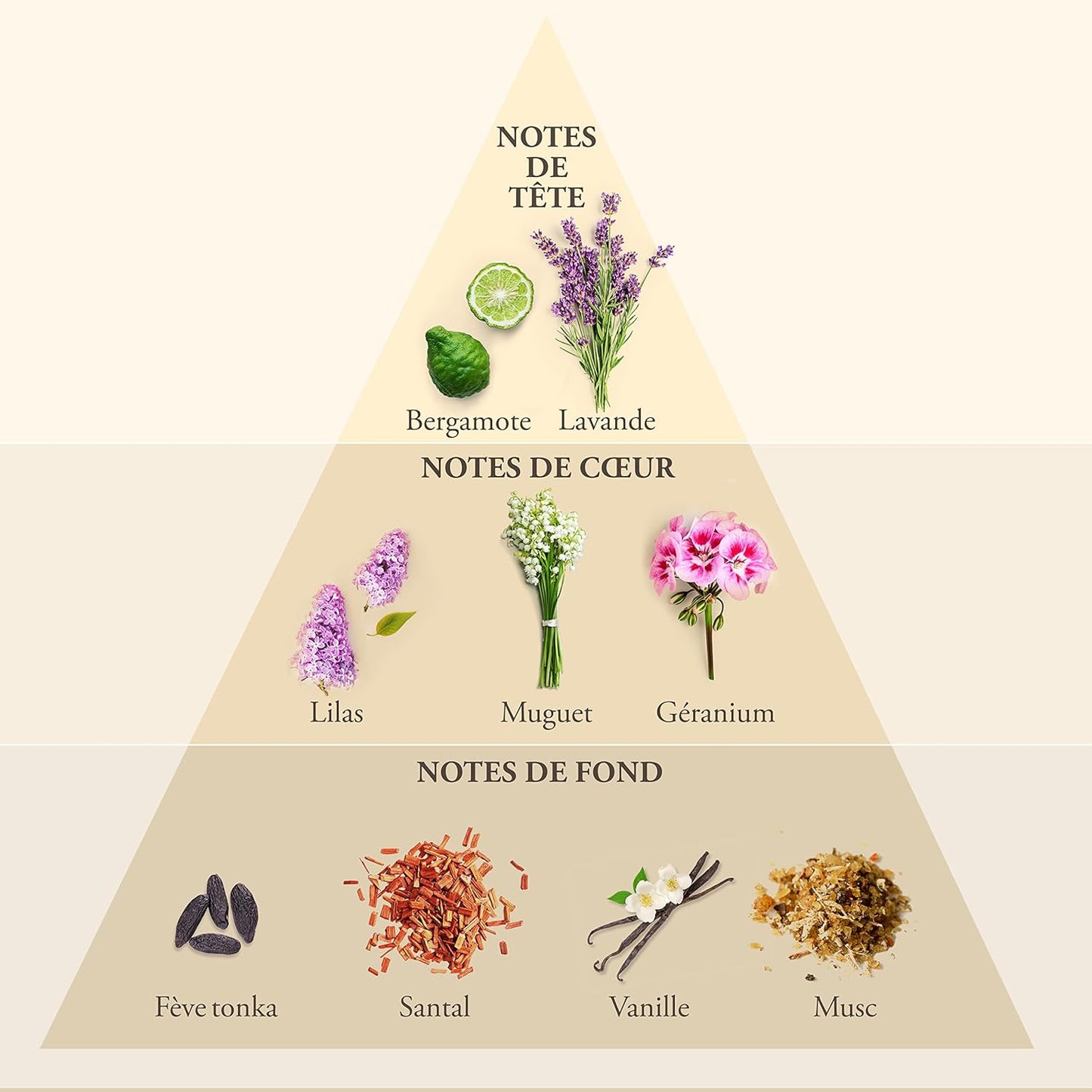 WHISKY FOR MEN Eau de Toilette – Elegant and Magnetic Scent with Pineapple, Lavender and Sandalwood – For the Sophisticated Yet Effortless Man – Made in France – 3.4 Fl Oz