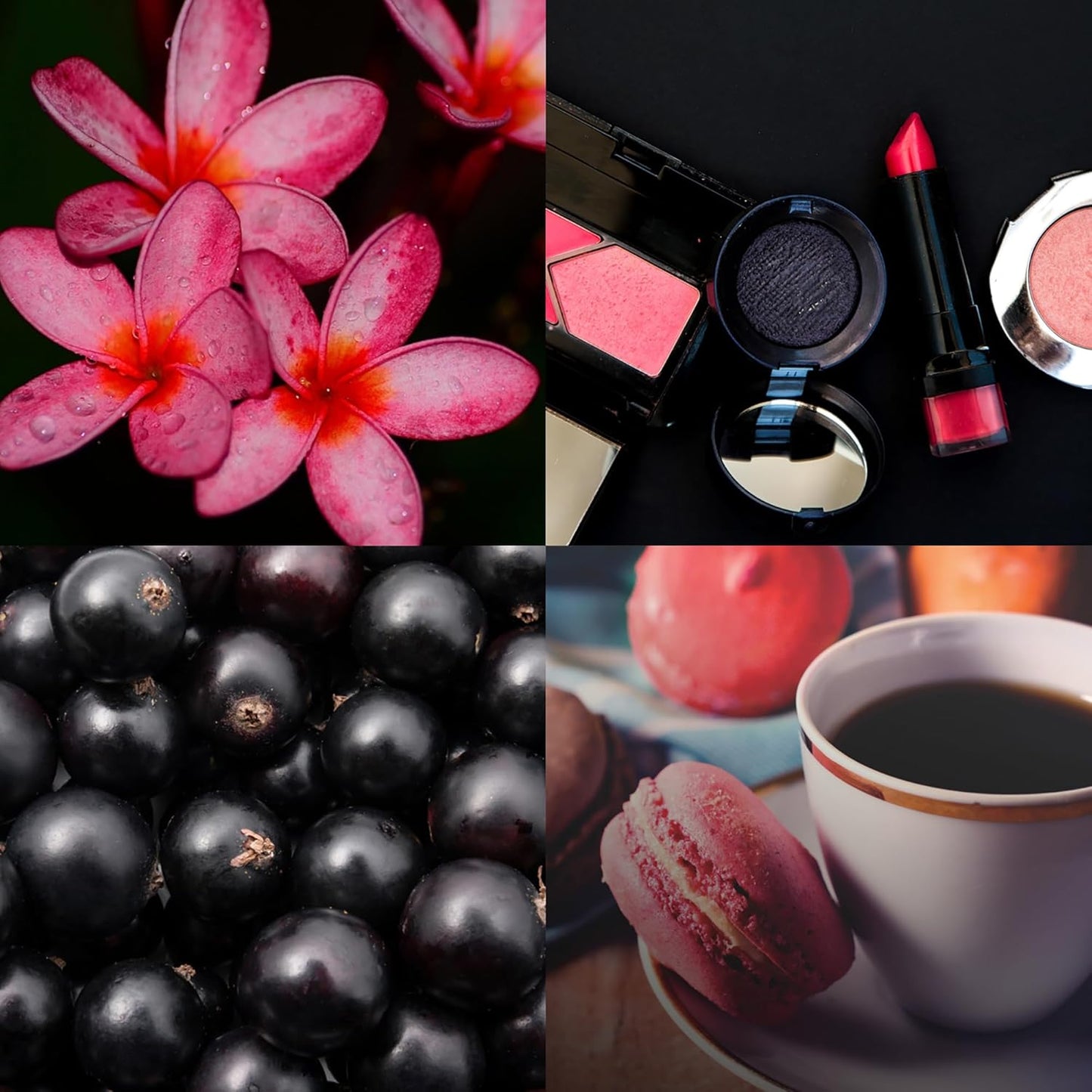 Perfumer's Choice Milton-Lloyd No 8 Valerie - Oriental Perfume - Long Lasting Parfume for Women - Eau de Parfume for Women - Womens Parfume - 1.7 oz