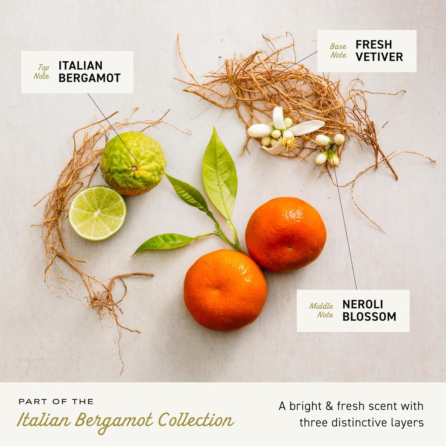 Cremo Body Wash Men, Notes of Italian Bergamot, Neroli Blossom, and Fresh Vetiver, Rich-Lathering Italian Bergamot, 16 Fl Oz