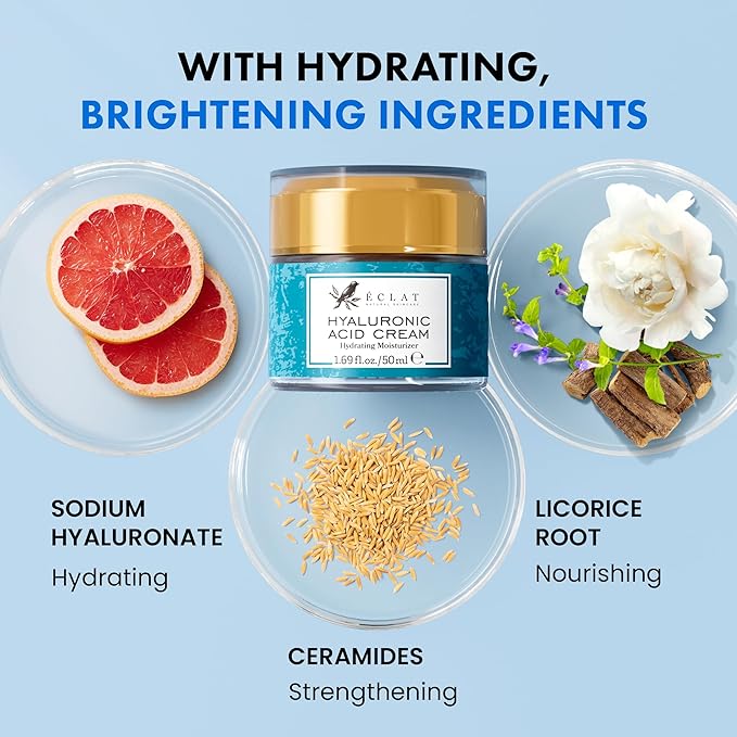 Eclat Skincare Hyaluronic Acid Moisturizer – Anti Aging Face Cream with Vitamin C, Hydrating Facial Moisturizer for Women & Men - Anti Wrinkle Day & Night Cream - Hyaluronic Acid Face Lotion 1.7 fl oz