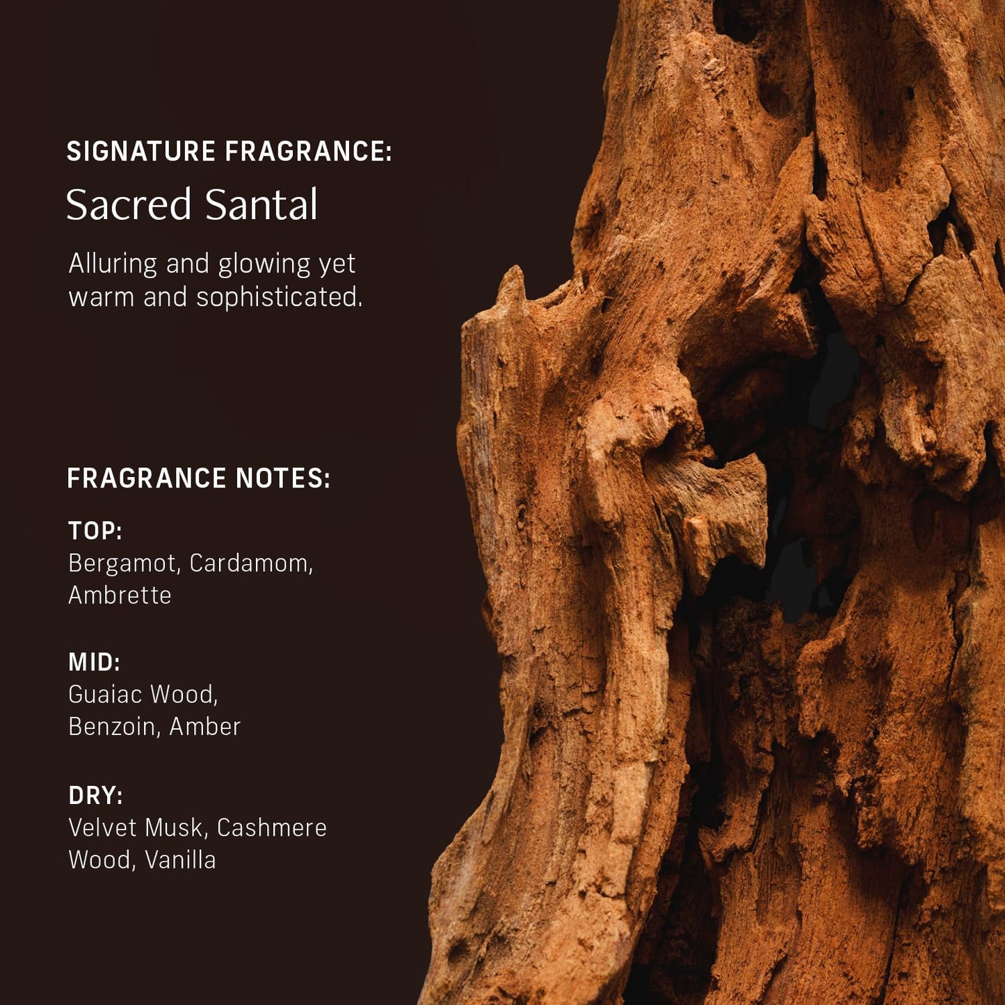 CYKLAR Sensorial Body Wash. Sacred Santal Hydrating Cleanser with Moisture Locking Multi-Oil Complex, Sodium PCA and Glycerin. Nourishing Shower Gel for Women and Men, 16.5 Fl Oz Luxury Bodywash