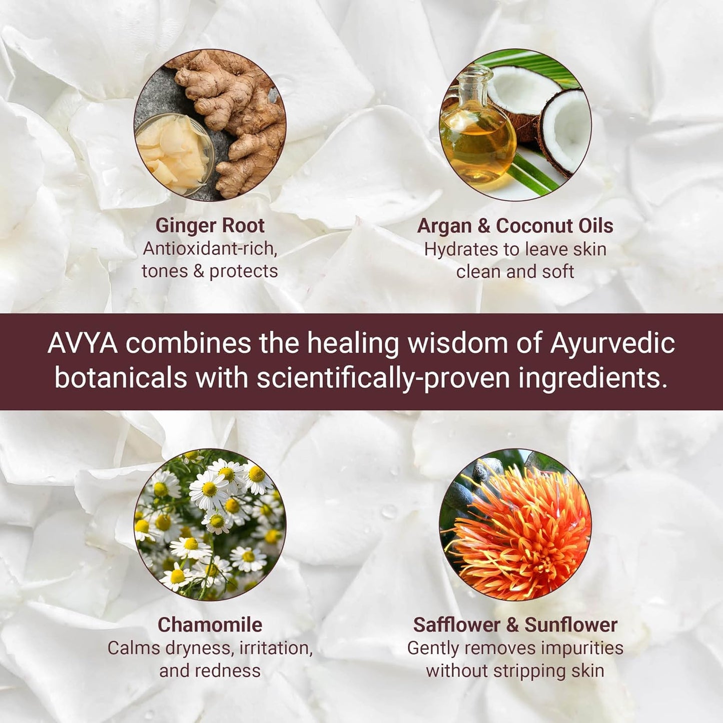 AVYA Hydroveda Essentials Daily Milk Cleanser (8.2oz) - Advanced Ayurvedic Skincare/Removes Makeup and Impurities for Natural Radiance/Ginger Blend Great for Sensitive Skin