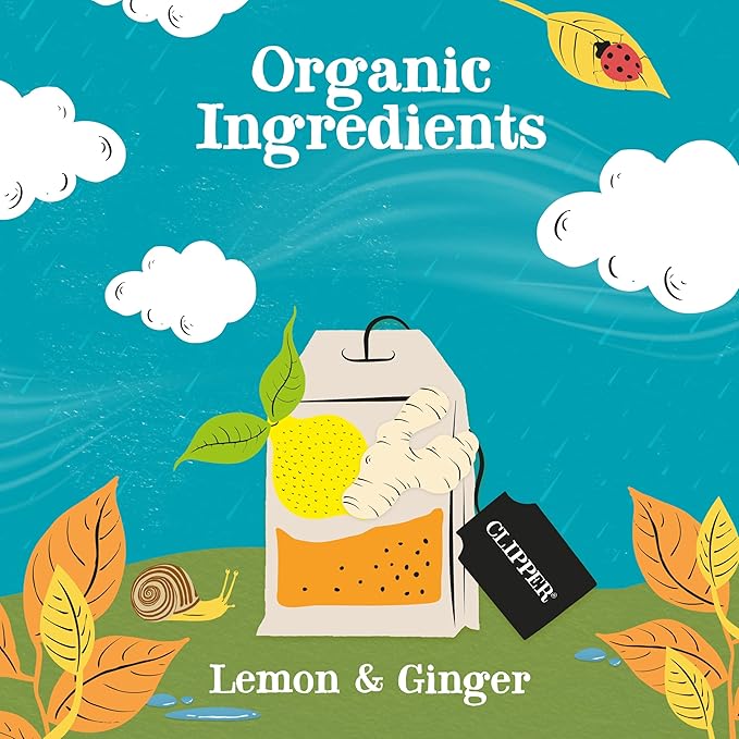 Clipper Tea Lemon & Ginger Teabags – Caffeine Free, USDA Organic, Great Hot or Iced – Aromatic, Natural, Fair & Delicious – 20 Tea Bags