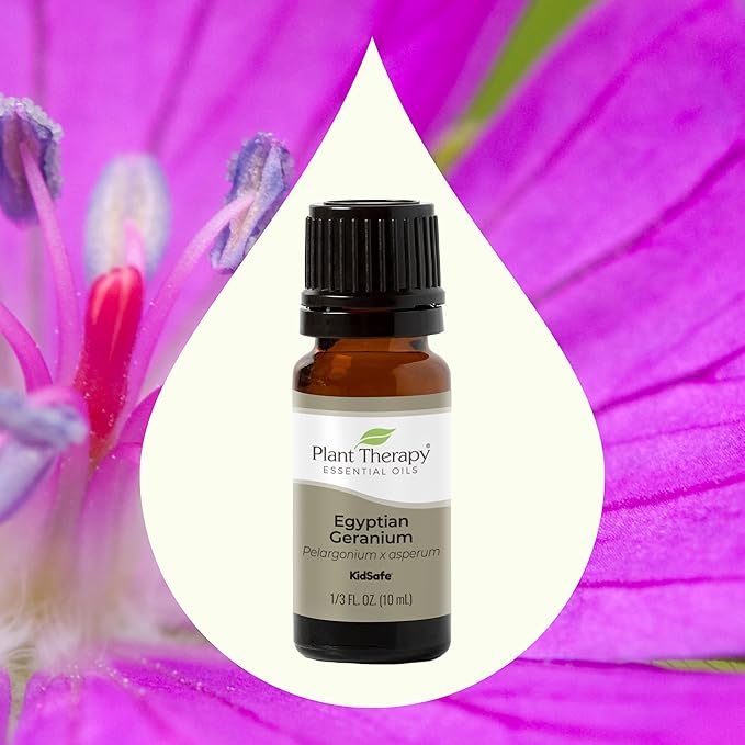 Plant Therapy Egyptian Geranium Essential Oil 100% Pure, Undiluted, Natural Aromatherapy, Therapeutic Grade 10 mL (1/3 oz)