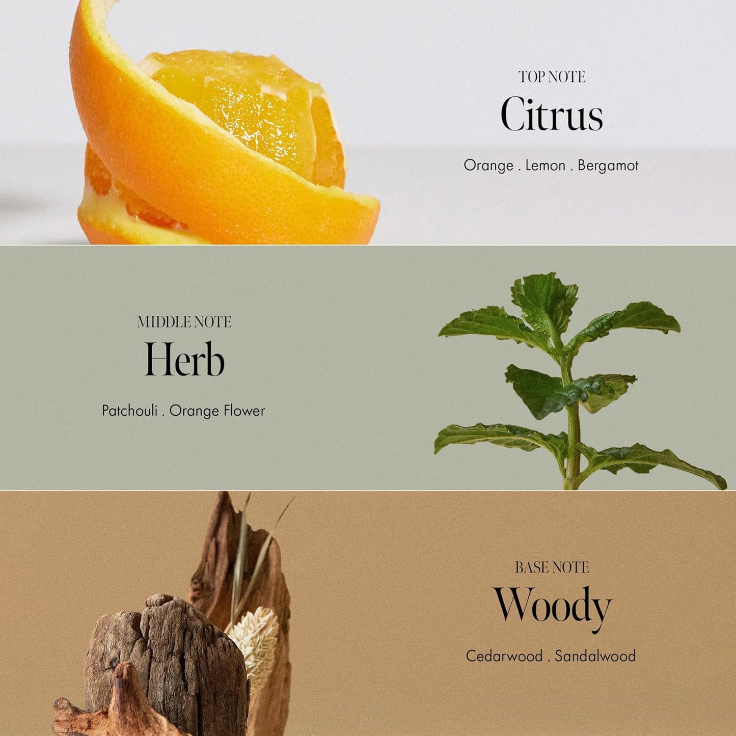 ANILLO Patchouli Garden Damage Repair Shampoo - Korean Hair Care Nourishing Shampoo for Men & Women w/Patchouli Leaf Water, Protein Complex & Green Herb Complex - Vegan Scalp Cleanser (10.14 fl.oz)