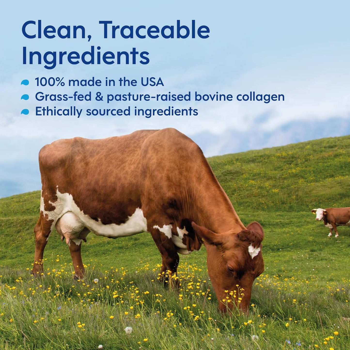 Hydrolyzed Liquid Collagen Peptides for Women & Men - Grass-Fed Bovine Protein Supplement for Hair Growth, Skin and Nails (Pack of 14, Lemon)