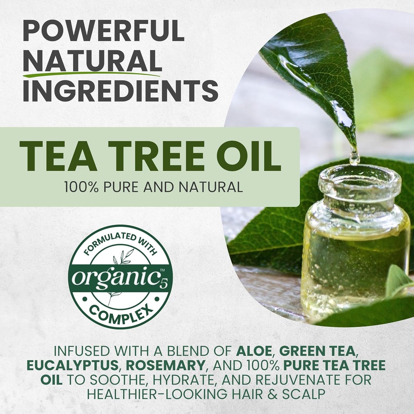 Tea Tree Oil Shampoo and Conditioner MaxTherapy Set, Itchy Scalp Relief, Refreshes & Cleanses Dandruff & Buildup, Clarifying for Oily Hair, Women & Men, 16 fl oz Each