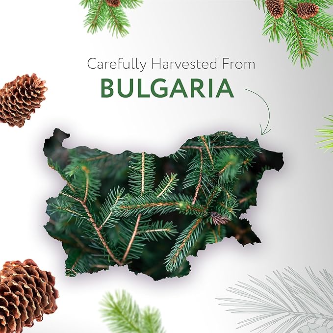 HBNO Fir Needle Essential Oil - 1 oz (30ml) Travel Size - Natural Fir Needle Oil - Perfect for Cleaning, Aromatherapy, DIY, Soap & Diffuser - Pine Needle Essential Oils