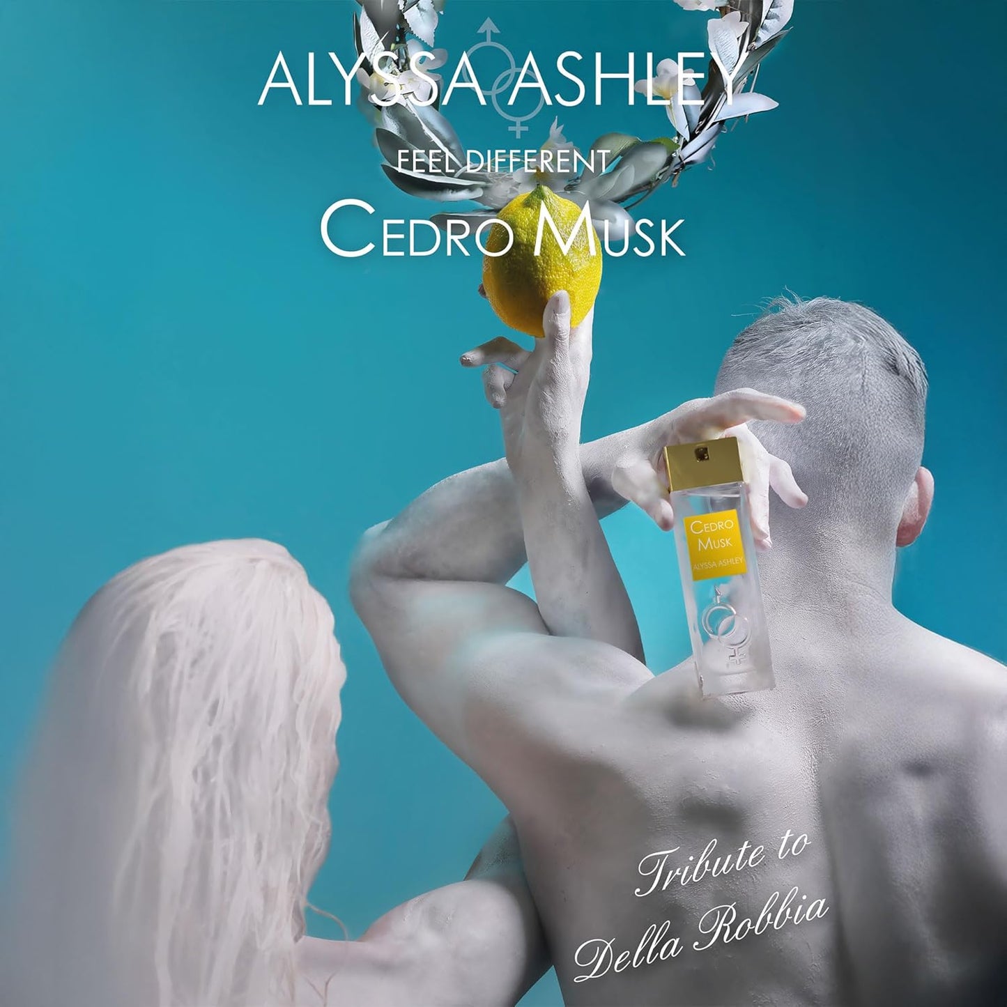 Alyssa Ashley Cedro Musk - Perfume for Women and Cologne for Men with Sparking Notes of Cedar - Long Lasting Mens Cologne - 1 oz EDP Spray