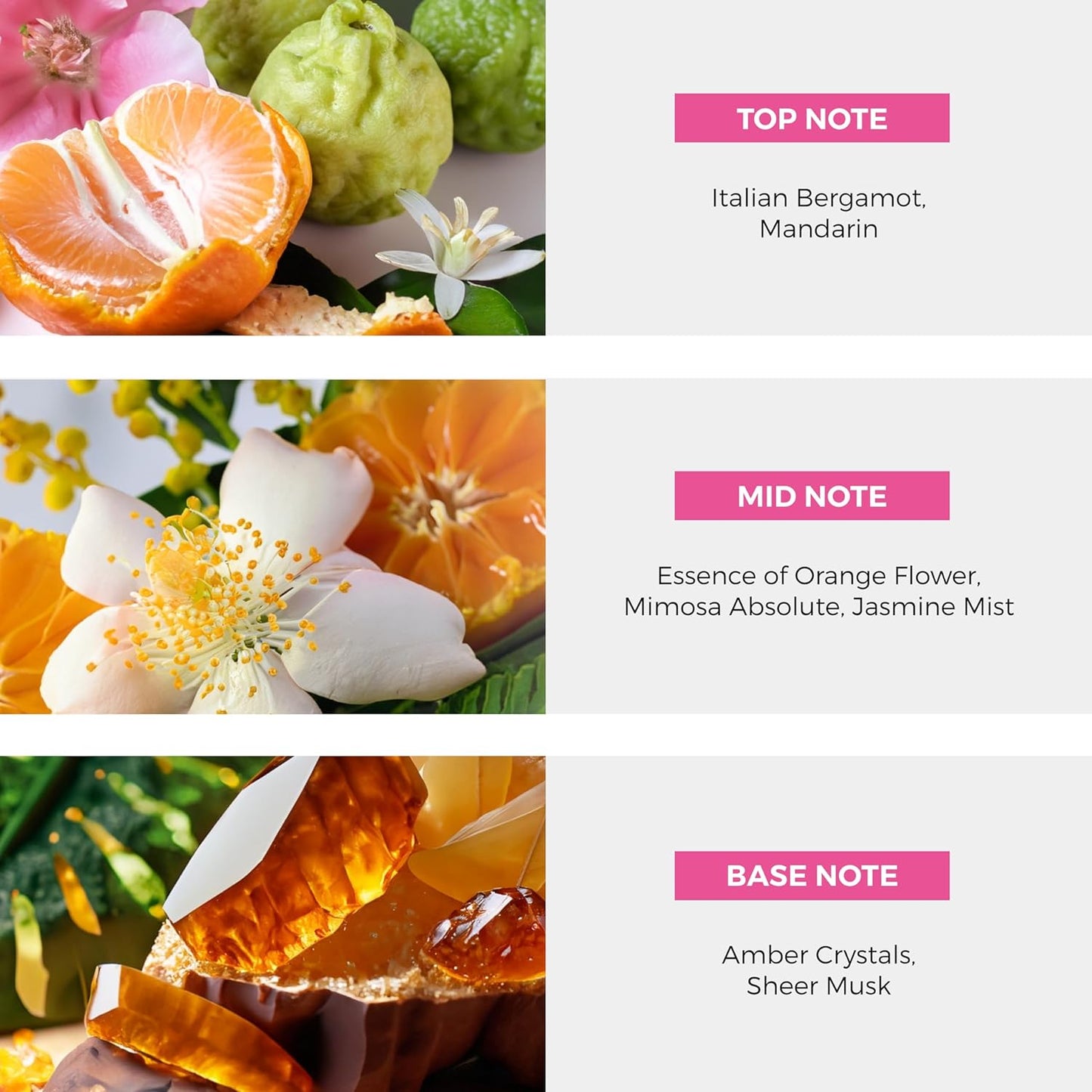 St. Martin Hibiscus Flower EDP Perfume Spray - 100 ml (3.4 oz)