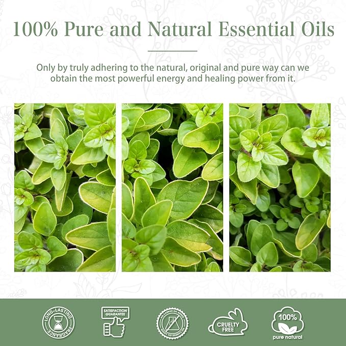 Oregano 3.38fl.oz Essential Oil, PHATOIL Pure Aromatherapy Oils for Diffuser, Humidifier, Perfect for DIY Soap, Candle, Bath Bombs Making(100ml)