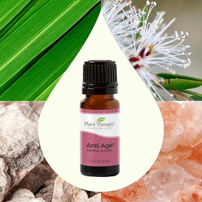 Plant Therapy Anti Age Essential Oil Blend 10 mL (1/3 oz) 100% Pure, Undiluted, Therapeutic Grade