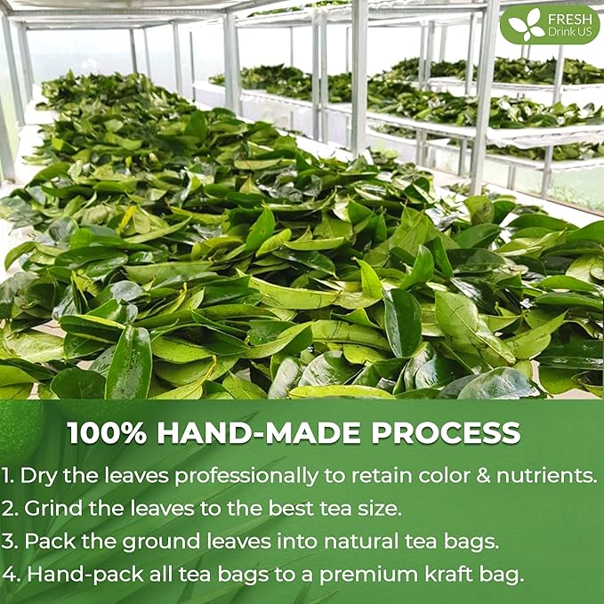 FreshDrinkUS, 105 Premium Soursop Graviola Leaf Tea Bags, The Finest Soursop Tea, 100% Natural and Pure, Handmade, Made With Natural Materials-Corn Fiber Tea Bag, Sugar/ Caffeine/ Gluten Free, Hoja Guanabana Tea