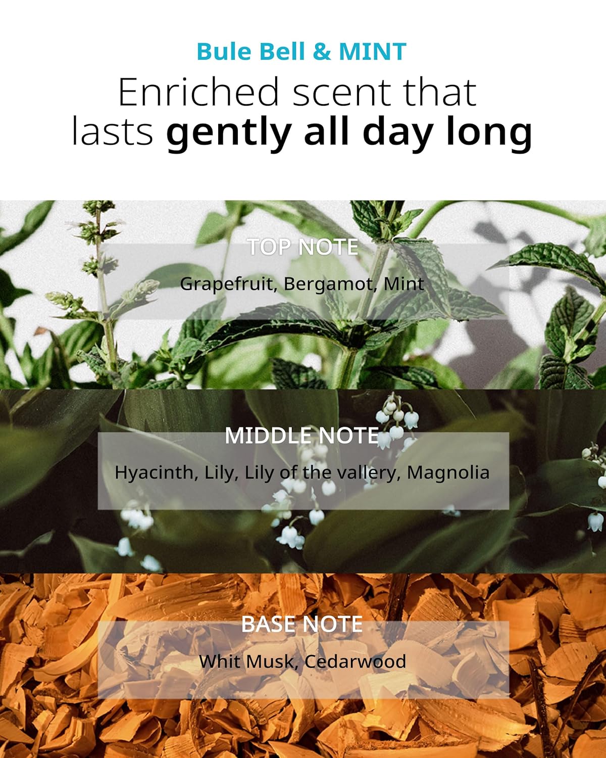 SAN TTEUT Scalp Refreshment Hair Shampoo - pH 5.5 Keratin & Protein Perfumed Shampoo for Hair Loss Relief, Cooling, Exfoliating - Mint & White Musk Scent - Paraben Free - 17 fl.oz.