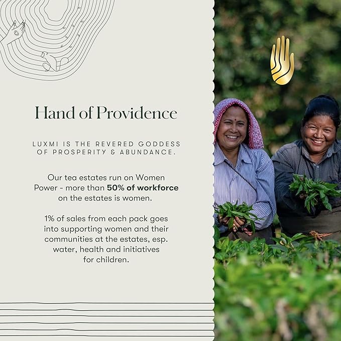 Luxmi Estates - Orange Spice - Organic Black Darjeeling Tea - 50 Tea Bags| Limited Fall Tea | Special Edition Autumn Tea | Smooth, Flavorful, Robust and Caffeinated