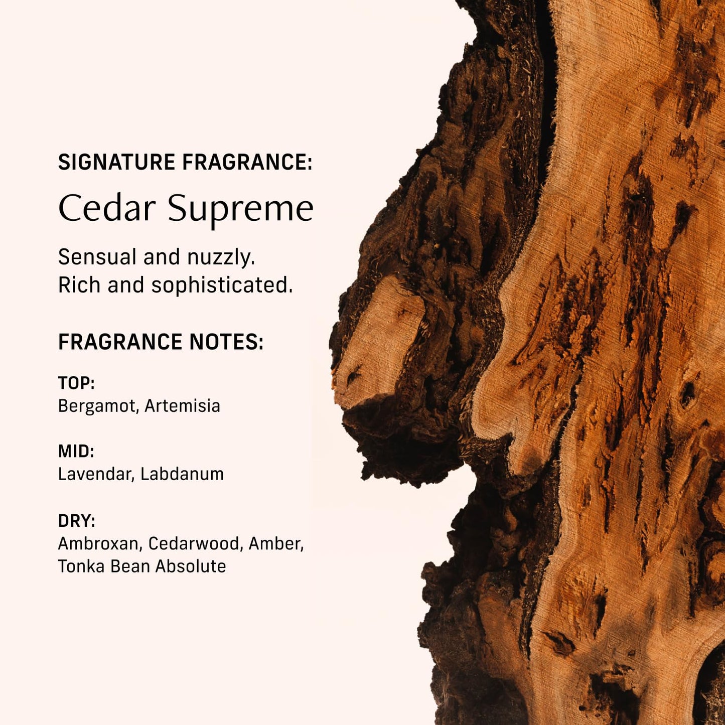 CYKLAR Perfume Oil Roll-On. Travel-Friendly Cedar Supreme Fragrance with Bergamot, Lavender, and Cedarwood. Long-Lasting Essential Oil Parfum for Women and Men. 0.5 Fl Oz Scented Rollerball Bottle