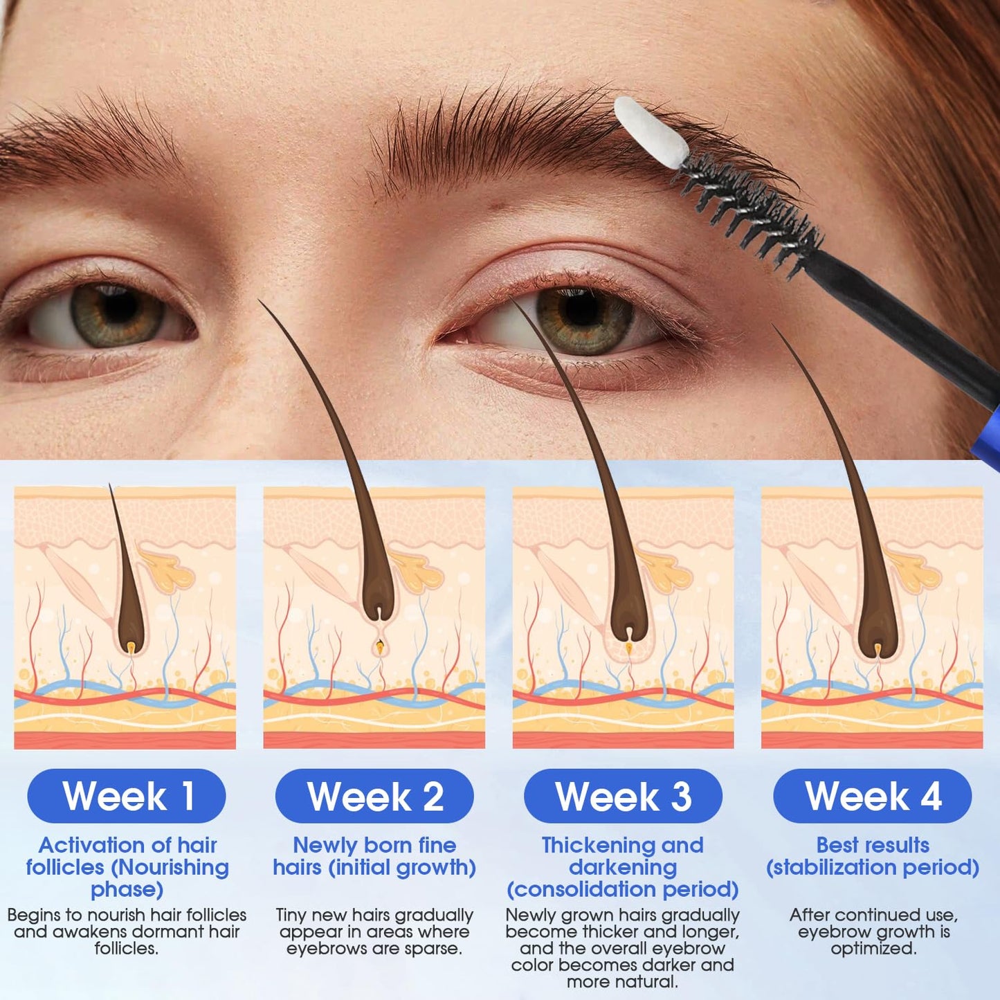 Eyebrow Growth Serum Plant Extracts Brows Growth Serum for Women Regrowth Eyebrow Hair Growth Thicker, Longer, Fuller -5ml