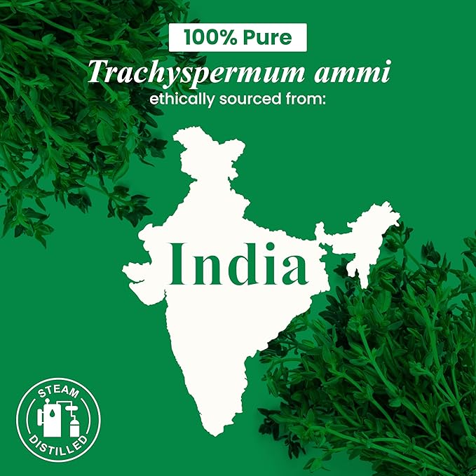 Handcraft Blends Thyme Essential Oil - 1 Fl Oz - 100% Pure and Natural - Premium Grade Essential Oil for Diffuser and Aromatherapy