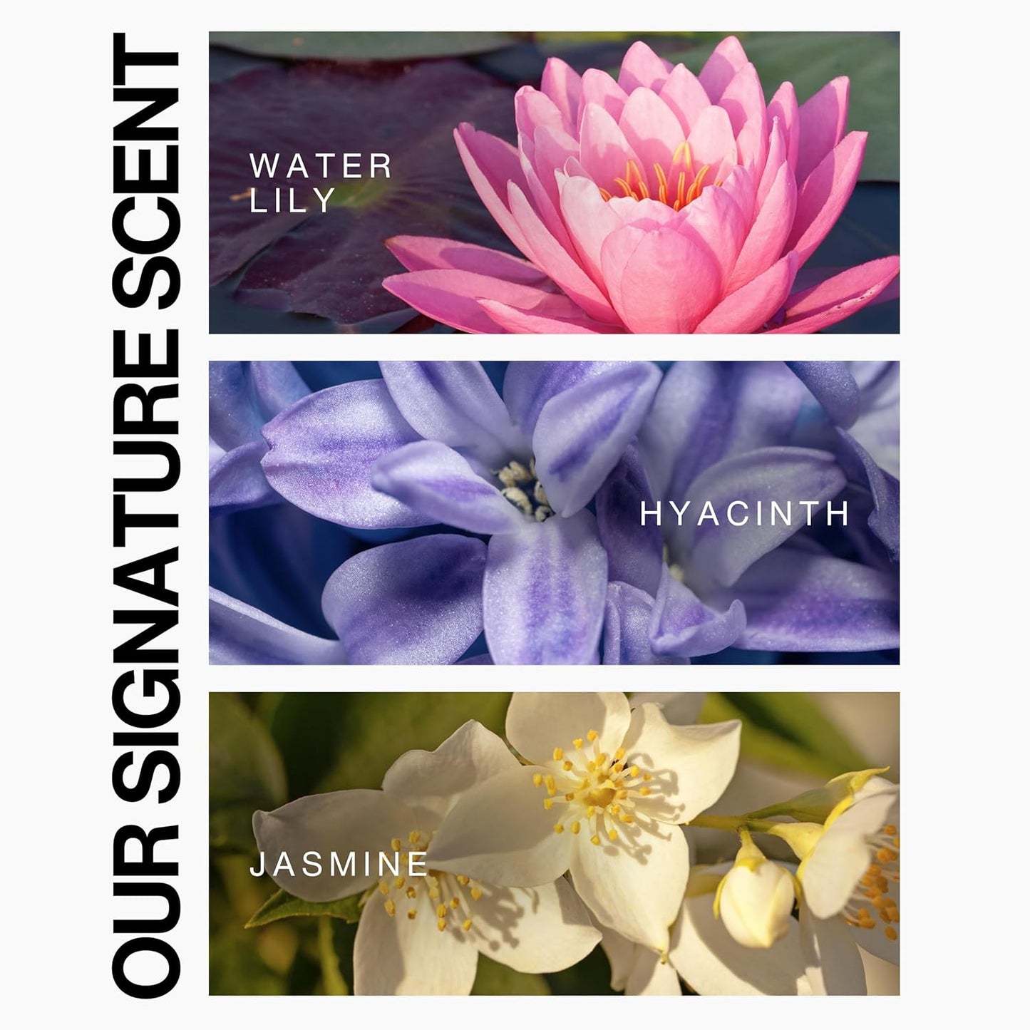 Lasio L’Luxe Hair Parfum – Elegant hair fragrance with jasmine, hyacinth, and water lily. Adds shine tames flyaways, and static, 3.4oz bottle for a sophisticated, polished finish hair scent