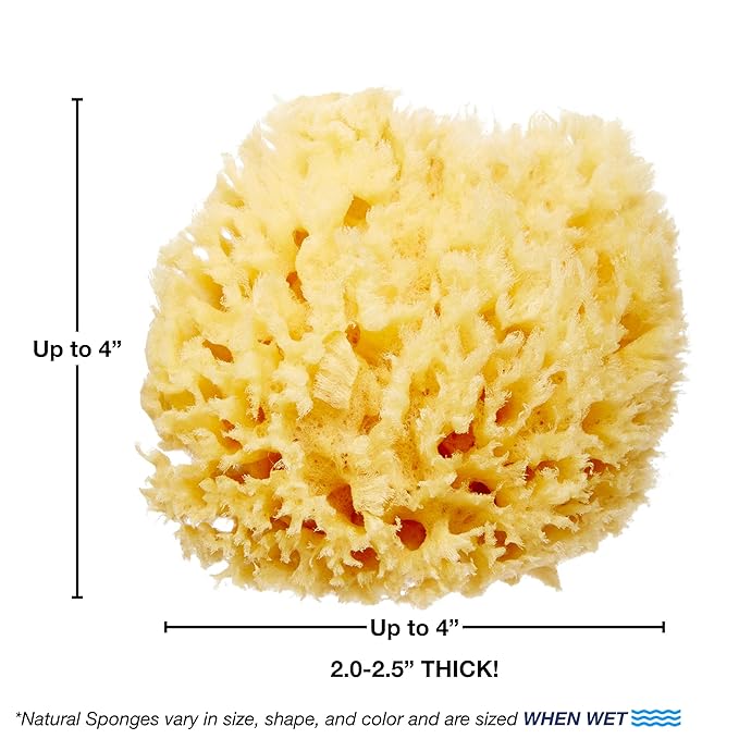 HartFelt Beauty Box Bundle with Exfoliation Foot Scrub and Delicate Skin Wool Sea Sponge, Shower Sponges for Women & Men, Shower Scrubber Gift Box