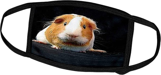 3dRose Face Mask Large, Varies