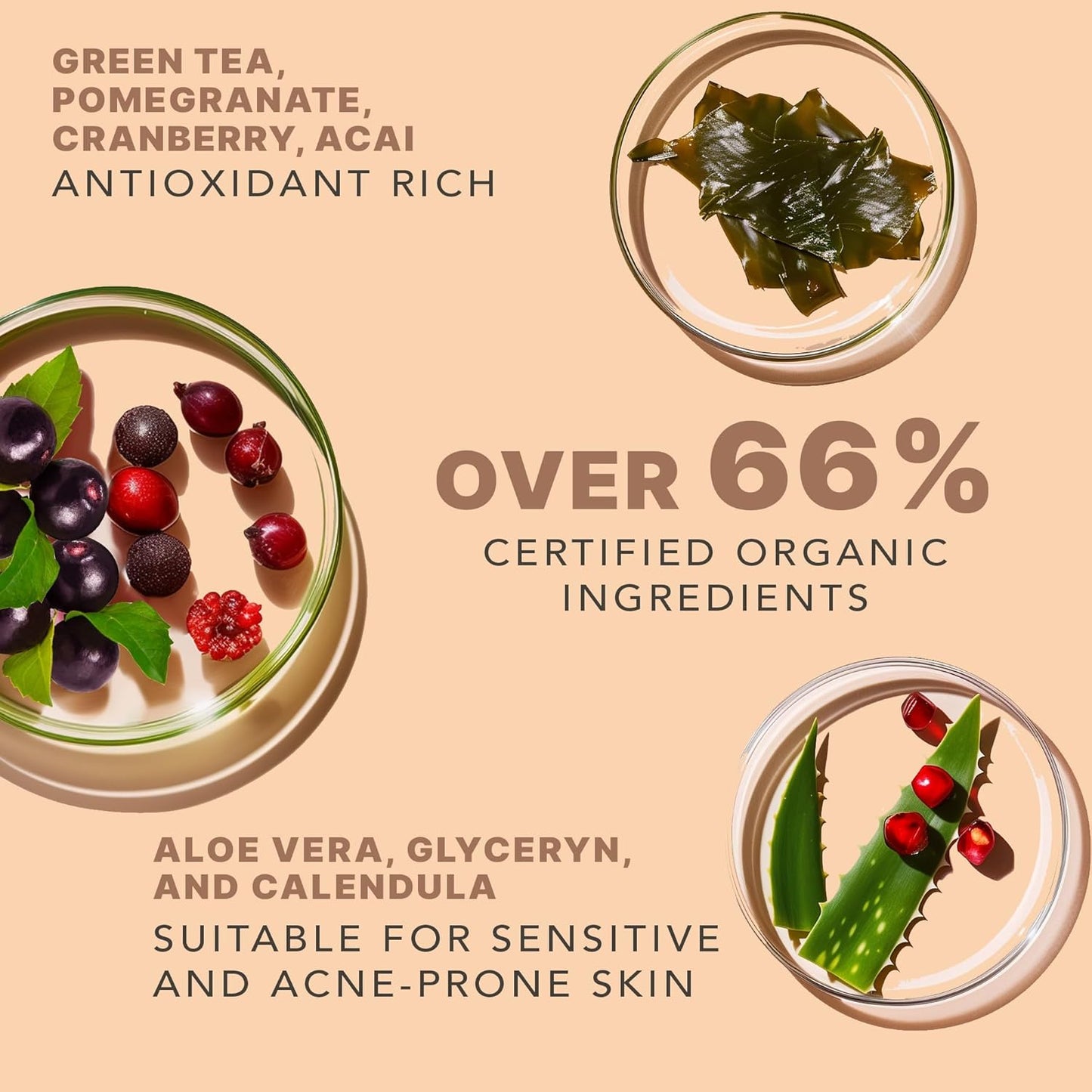 Beauty by Earth Clean Face Wash - USA Made with Organic & Natural Ingredients, Non-Toxic Facial Cleanser