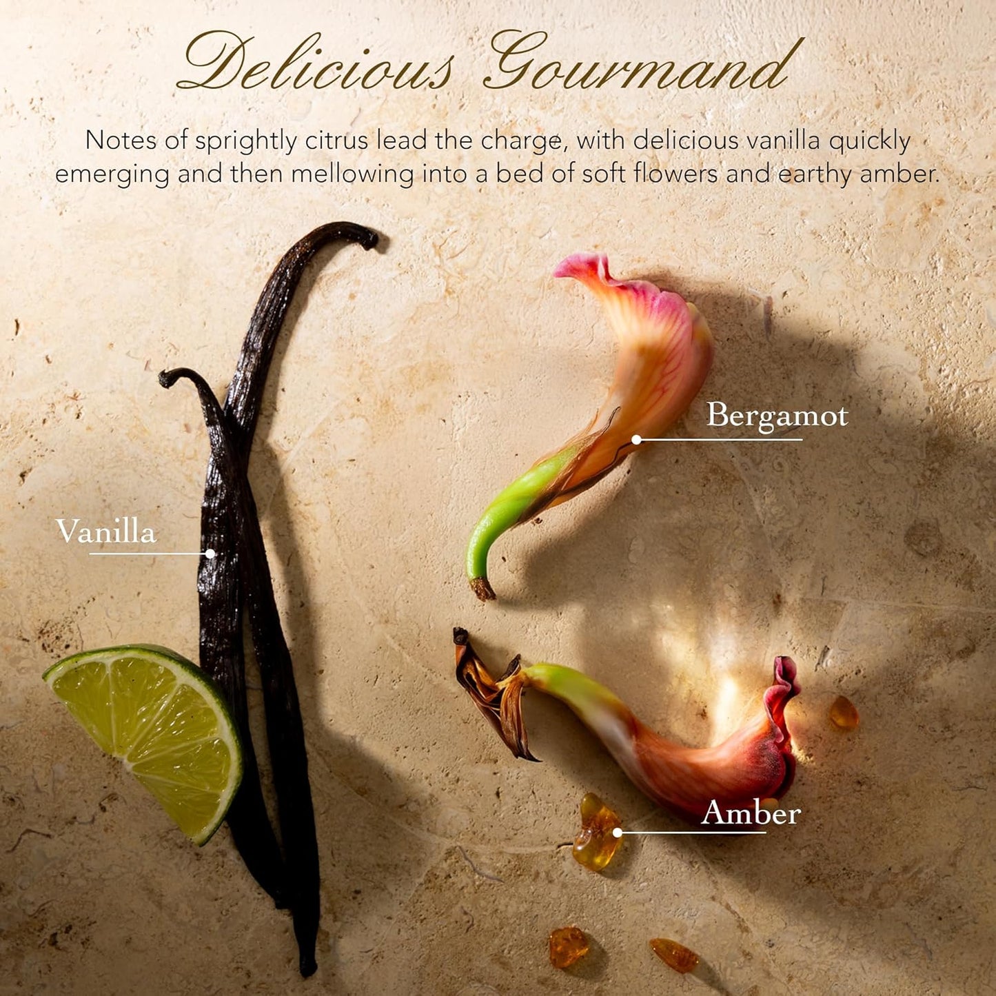 Tocca Laila Women's Perfume Travel Spray, 0.34 oz. (10 ml) - Bergamot, Vanilla & Amber, Sweet and Decadent Eau de Parfum