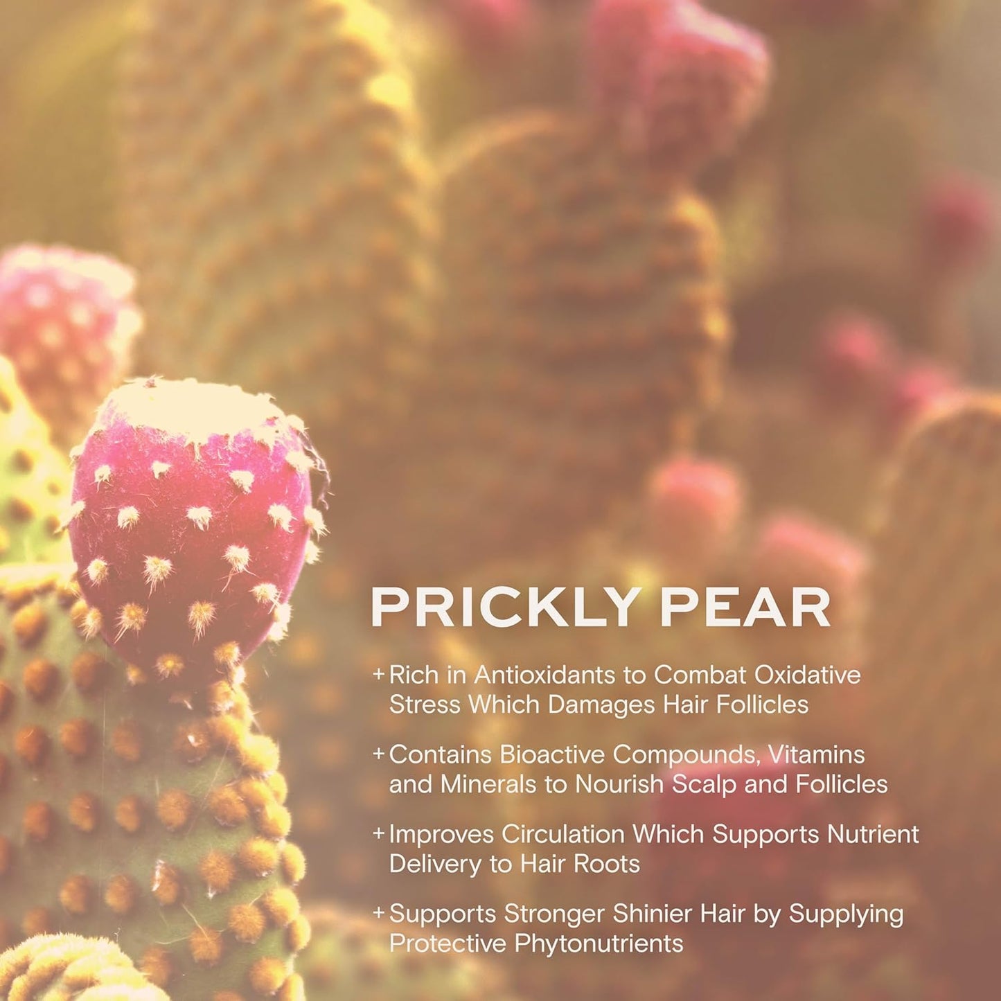 Essential Wellbeing Complex | Hair Growth, Strength & Scalp Support | Hormone Balance, Stress Relief, Gut & Cellular Health | Sesbania, Ashwagandha, Antioxidants | 120 Capsules