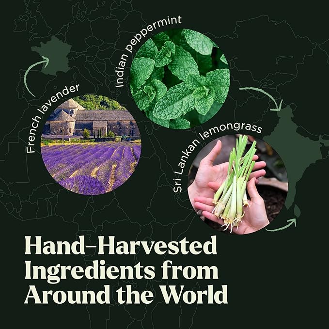 Essential Oils Set - 10pc Aromatherapy Oil in Portable Bag - Diffusers, Humidifiers, Yoga, DIY Cleaning Products, Candle Making, Soaps - Peppermint, Tea Tree, Lavender, Eucalyptus, Lemongrass (10mL)