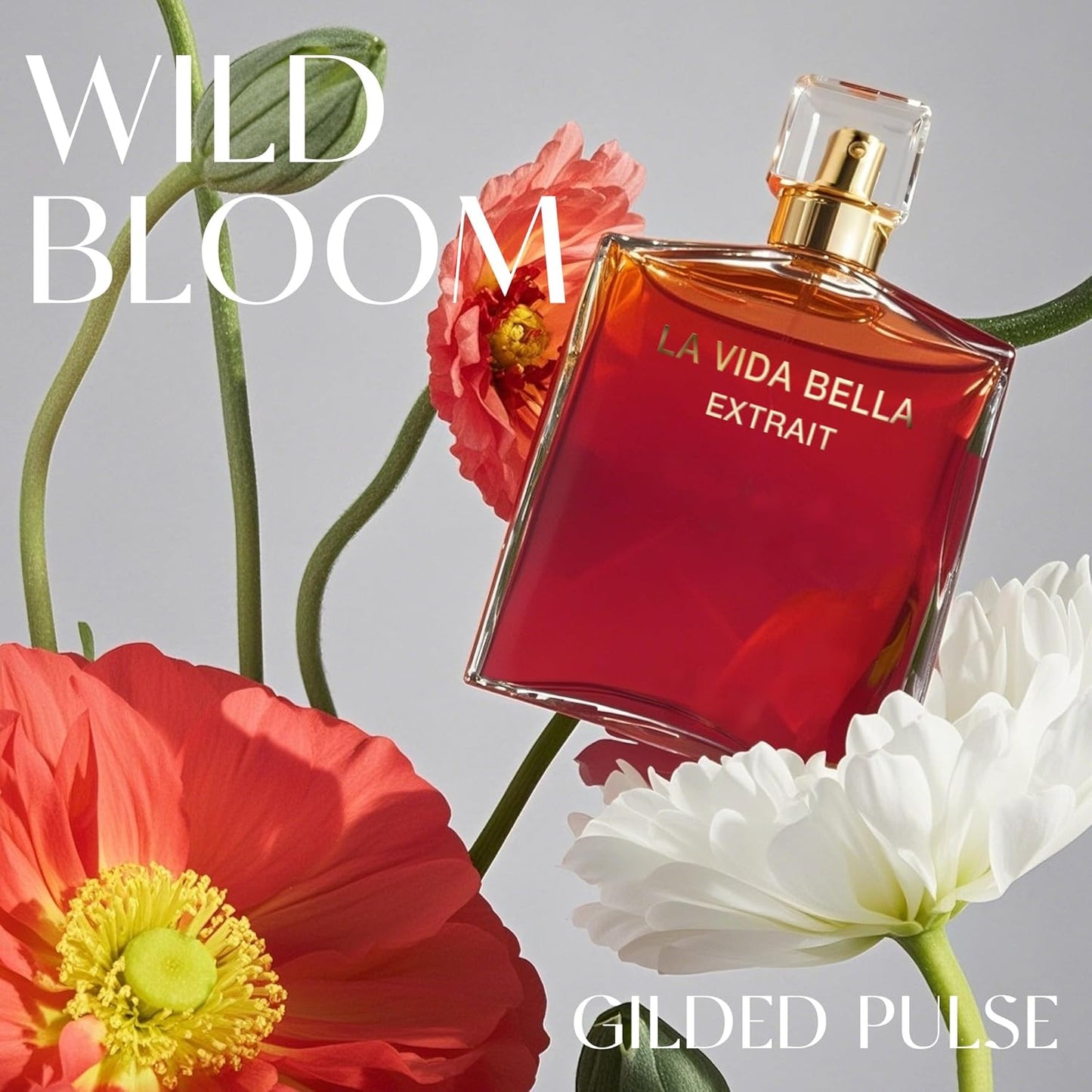 La Vida Bella Extrait Women Perfume 3.4Fl Oz Eau de Parfum Spray with Raspberry, Pink Pepper & Bergamot - Sugary Rush & Citrusy Notes Fragrance Daytime & Casual Use(2 Pack)