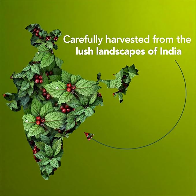 MAJESTIC PURE Wintergreen Essential Oil | 100% Pure and Natural Oil | Premium Grade Essential Oils for Hair Care, Home Diffusers, Skin, Aromatherapy, Massage and Humidifiers | 4 Fl Oz