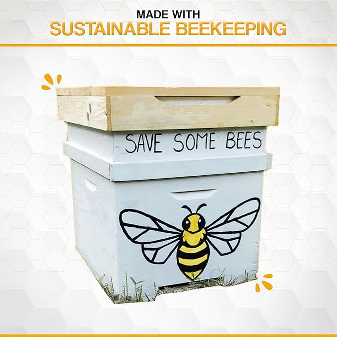 2 Beetinols Anti aging serums (15ml bottle & 5ml Roller Ball applicator) - Day/Night Eye & Face Serum : Bee Venom, Retinol, Peptides, Hyaluronic Acid, Vitamin C & K