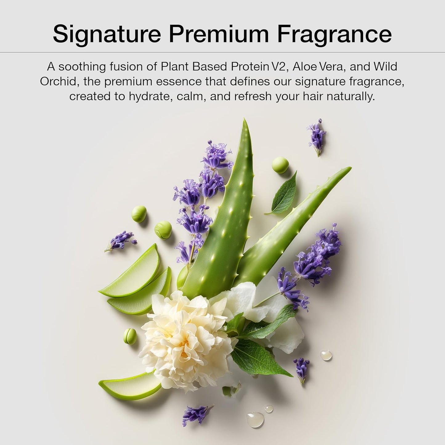 GK HAIR Shampoo &Conditioner set,Travel Size-Curly Hair Shampoo & Conditioner For Color Protection-Made with Aloe vera,Parki Butter-Free of Parabens Phthalates & Sulfate Free (3.4 Fl Oz)