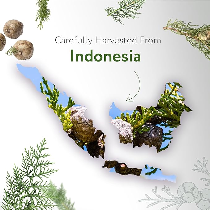 HBNO Cypress Essential Oil - Huge 4 oz (120ml) Value Size - Natural Cypress Oil - Perfect for Cleaning, Aromatherapy, DIY, Soap and Diffuser - Cypress Essential Oils