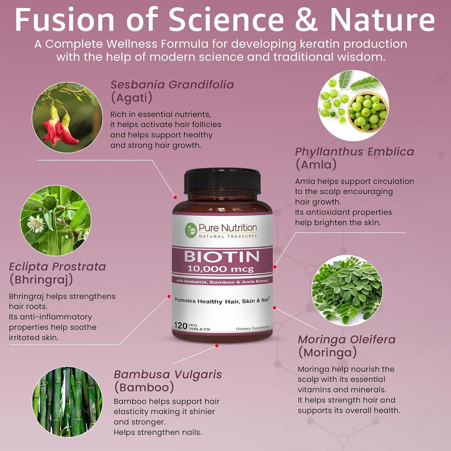 Pure Nutrition Biotin 10000mcg with Sesbania, Bamboo & Amla Extract | 120 Tabs | Natural Biotin 10000mcg Supplement | Non GMO | Gluten Free