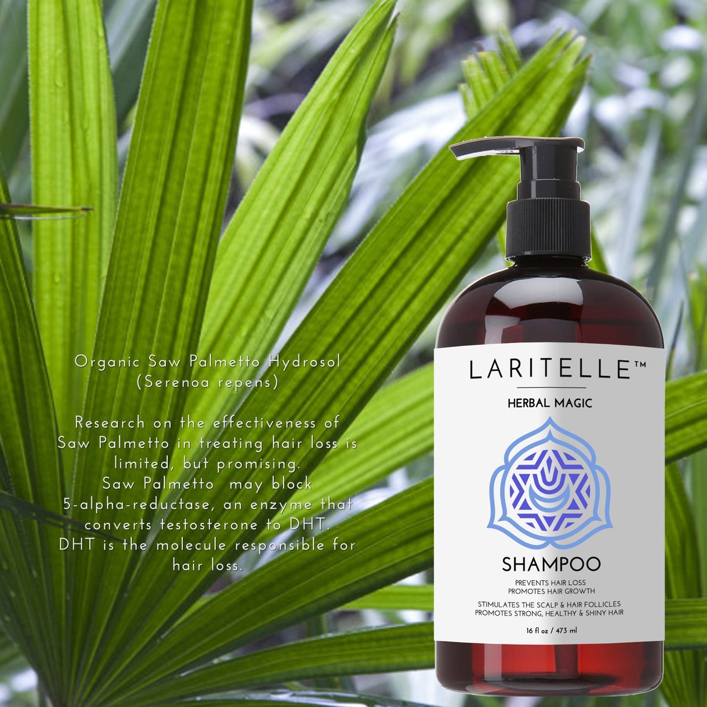 Laritelle Organic Unscented Shampoo Herbal Magic | Hair Loss Prevention, Clarifying & Strengthening | Rosemary & Saw Palmetto | NO GMO, Sulfates, Gluten, Alcohol, Parabens, Phthalates | Hypoallergenic