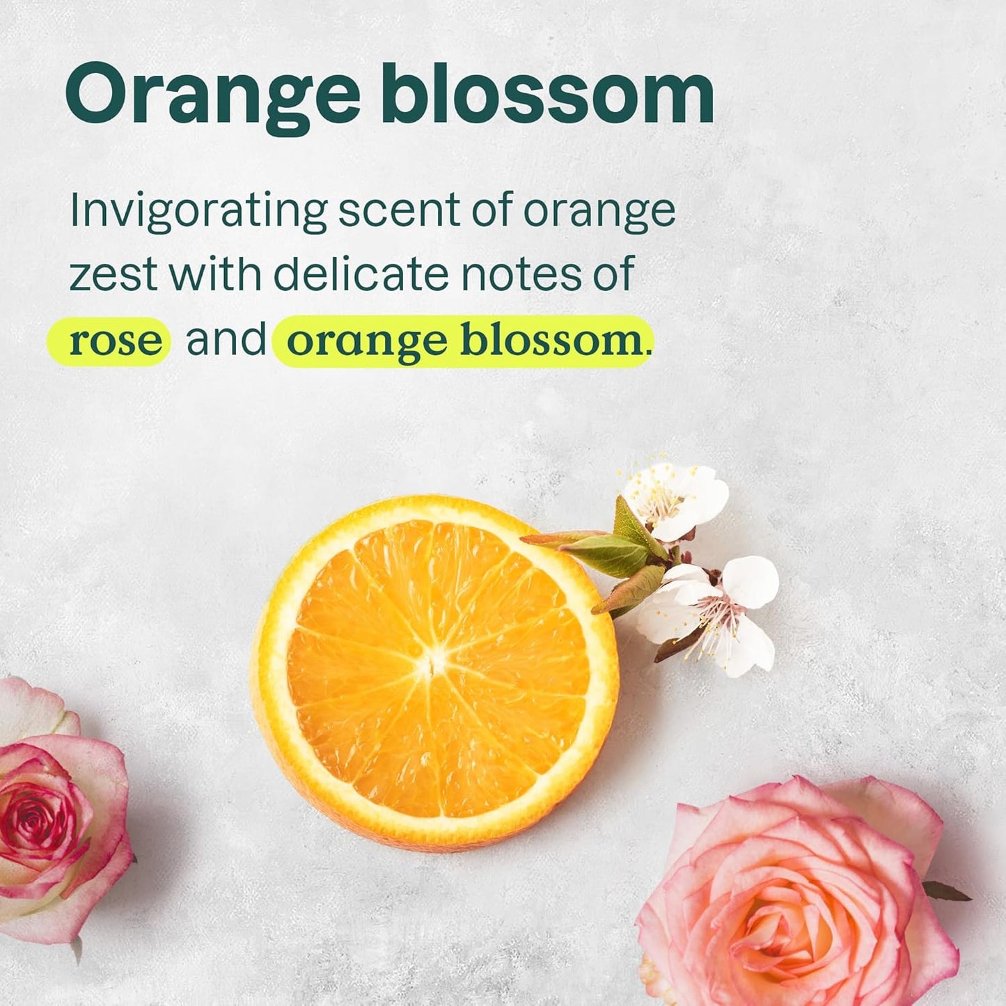 ATTITUDE Nourishing Conditioner for Curly Hair with Moringa Oil, Vegan and Naturally Derived, 3a, 3b, 3c Curl Type, Provides Lightweight Moisture to Curls, 16 Fl Oz