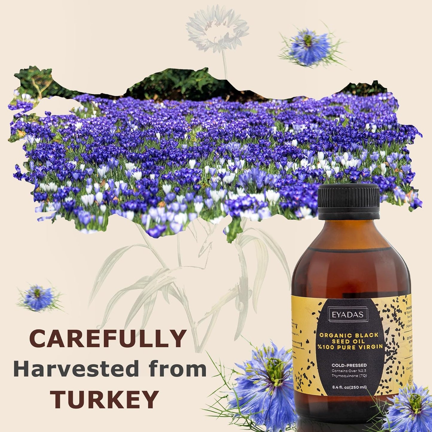 Organic Black Seed Oil 8.4 Fl Oz – 100% Turkish Cold-Pressed Nigella Sativa with 3X Thymoquinone – Pure Cumin Extract in Amber Glass Bottle for Immune, Hair, Skin & Overall Wellness