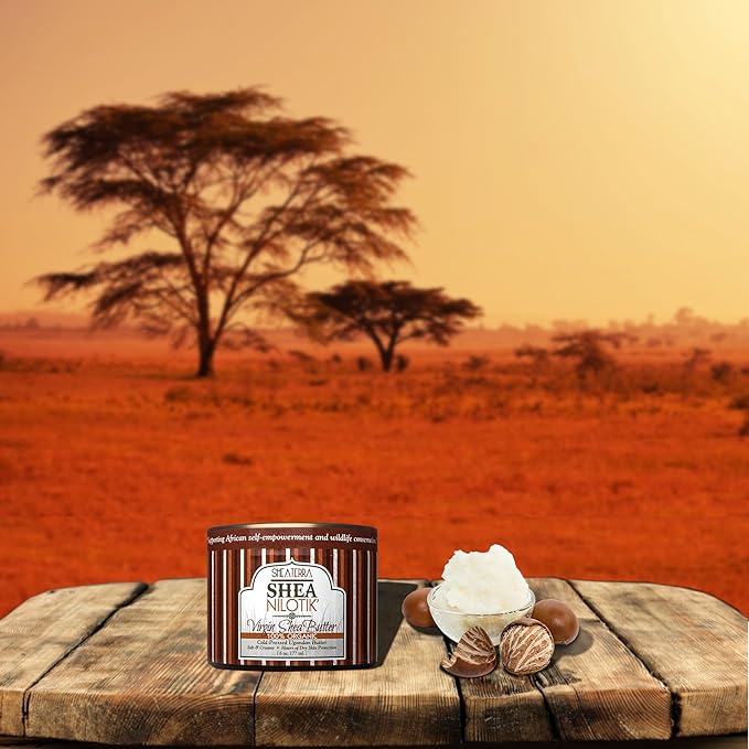 Shea Terra Organics 100% Organic Cold-Pressed Virgin Shea Butter | Natural Anti-Aging Daily Skin, Nails & Hair Cream to Soften Dry Patchy Skin & Cuticles, Reduce Wrinkles, & Condition Hair – 6 oz