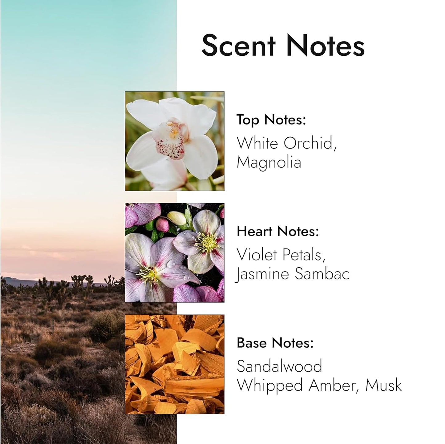 Modern Memory Mojave Flower Eau de Parfum for Women, 2.5 fl oz - Notes of Magnolia, Sandalwood & Musk